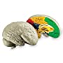 Human Brain Model.jpg