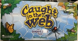 Caught in the Web: the Insect Fact Game
