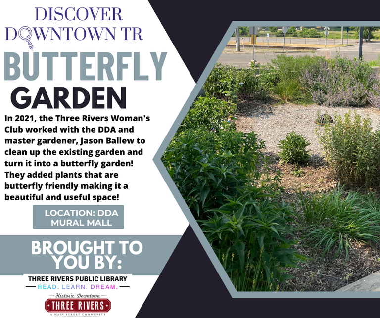 The Butterfly Garden