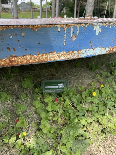 cache1.jpg