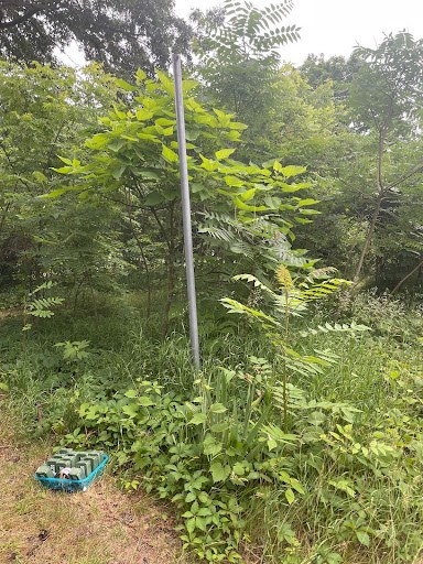 cache12.jpg