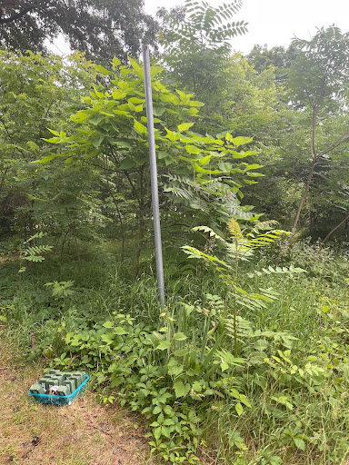 cache12.jpg