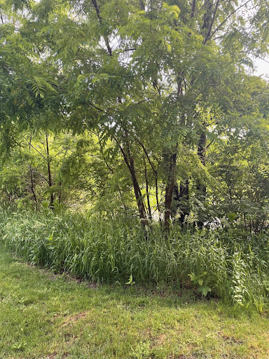 cache2.jpg
