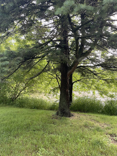 cache3.jpg