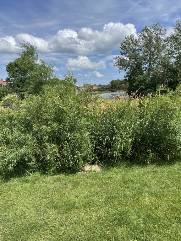 cache8.jpg
