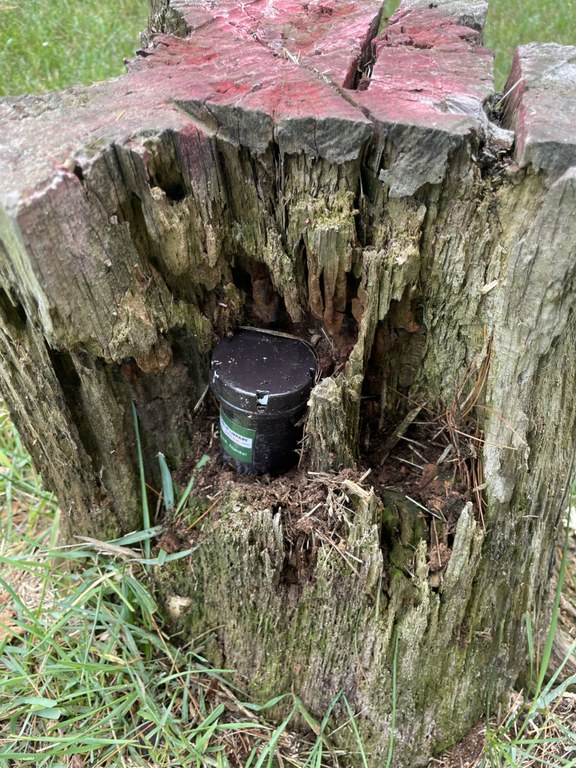 geocache6.jpg