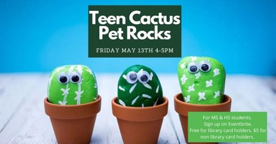Cactus Pet Rocks