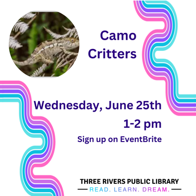 Camo Critters STEM Activity