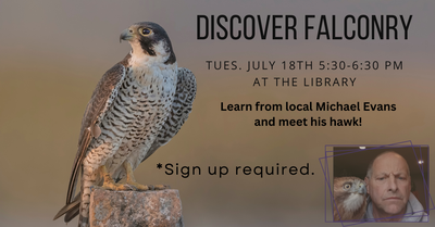 Discover Falconry