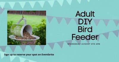 DIY Bird Feeder