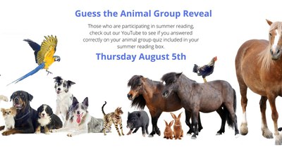 Guess the Animal Group Answer Reveal