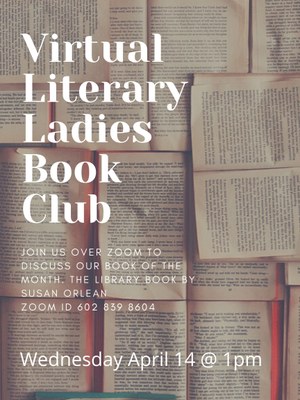 Virtual Literary Ladies Book Club Virtual Literary Ladies Book Club