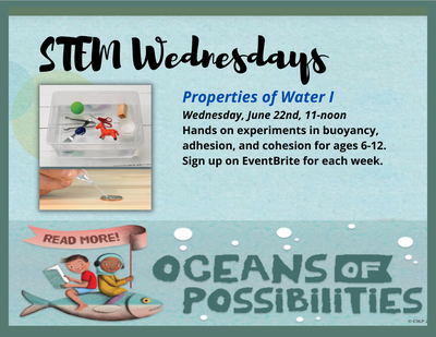 STEM Wednesdays: Properties of Water