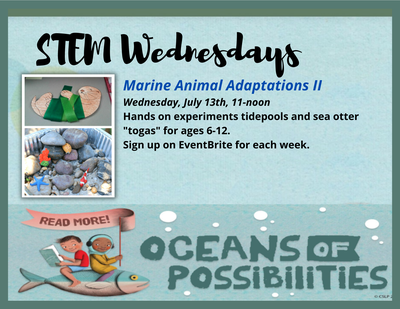 STEM Wednesdays: Marine Adaptations II