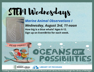 STEM Wednesdays: Marine Animal Observations I STEM Wednesdays: Marine Animal Observations I