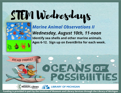 STEM Wednesdays: Marine Animal Observations II STEM Wednesdays: Marine Animal Observations II