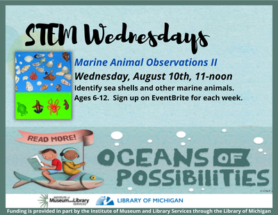 STEM Wednesdays: Marine Animal Observations II