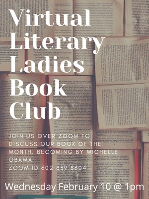 Virtual Literary Ladies Book Club