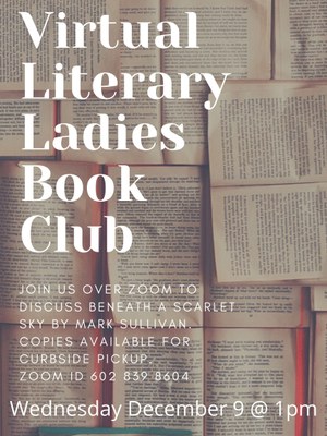 Virtual Literary Ladies Book Club