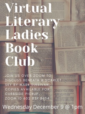 Virtual Literary Ladies Book Club Virtual Literary Ladies Book Club